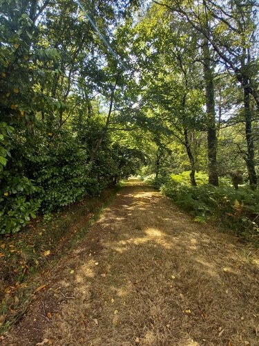 Maison a vendre Camors 56330 Morbihan 117 m2 6 pièces 239720 euros