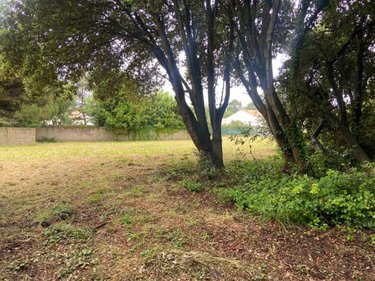 Terrain a batir a vendre Le Grand-Village-Plage 17370 Charente-Maritime 417 m2  116600 euros