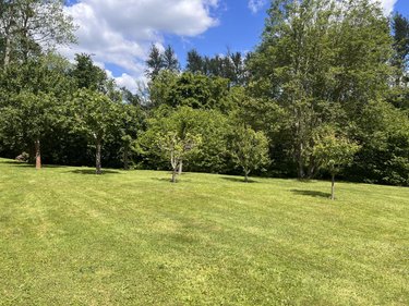Maison a vendre Saint-Agathon 22200 Côtes-d'Armor 89 m2 3 pièces 299040 euros