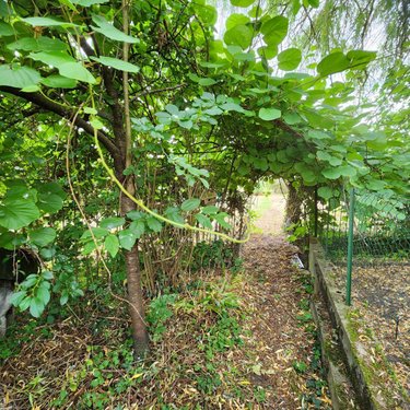 Maison a vendre Vibraye 72320 Sarthe 101 m2 5 pièces 58300 euros