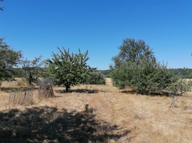 Terrains de loisirs bois etangs a vendre Abilly 37160 Indre-et-Loire 3420 m2  6500 euros