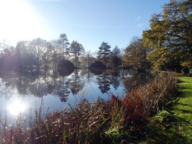 Maison a vendre Langoëlan 56160 Morbihan 130 m2 5 pièces 163230 euros