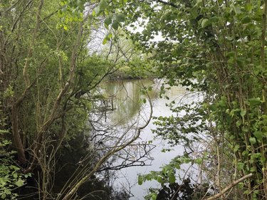 Terrains de loisirs bois etangs a vendre Saint-Martin-du-Bois 49500 Maine-et-Loire 5094 m2  48600 euros