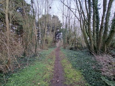 Terrains de loisirs bois etangs a vendre Ames 62190 Pas-de-Calais 1163 m2  28000 euros