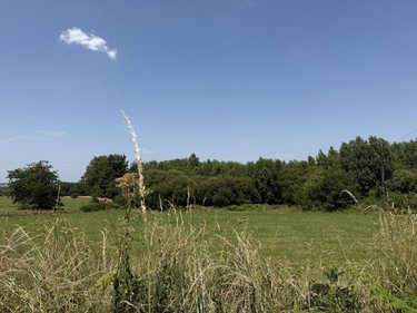 Maison a vendre Plémet 22210 Côtes-d'Armor 320 m2  301658 euros