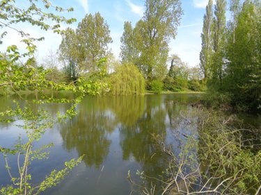 Terrains de loisirs bois etangs a vendre Annezin 62232 Pas-de-Calais 7918 m2  136500 euros