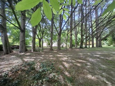 Maison a vendre Saintes 17100 Charente-Maritime 405 m2 11 pièces 500000 euros
