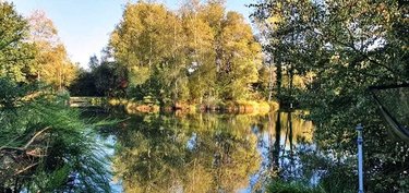 Terrains de loisirs bois etangs a vendre Le Croisty 56540 Morbihan 15350 m2  74400 euros