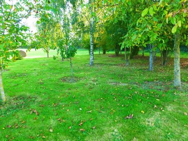 Maison a vendre Nuillé-sur-Vicoin 53970 Mayenne 281 m2 8 pièces 543400 euros