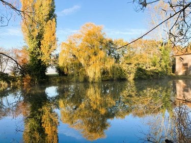 Maison a vendre Nouans 72260 Sarthe 271 m2 9 pièces 299900 euros