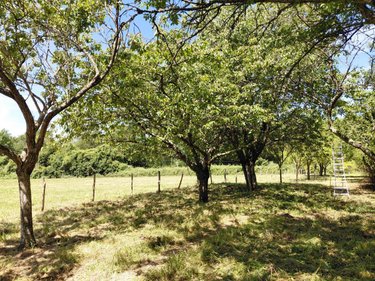 Maison a vendre Belforêt-en-Perche 61130 Orne 75 m2 1 pièce 96300 euros