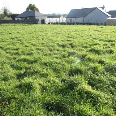 Terrain a batir a vendre La Colombe 50800 Manche 789 m2  32160 euros