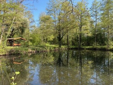 Divers a vendre Presles-et-Thierny 02860 Aisne 8685 m2  54800 euros