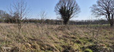 Terrains de loisirs bois etangs a vendre Freigné 44540 Loire-Atlantique 20950 m2  17400 euros