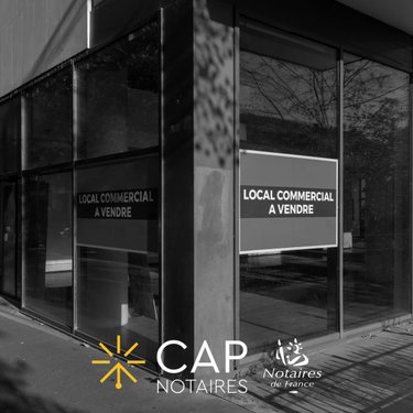 Immeuble a vendre Rochefort-sur-Loire 49190 Maine-et-Loire 368 m2  246800 euros