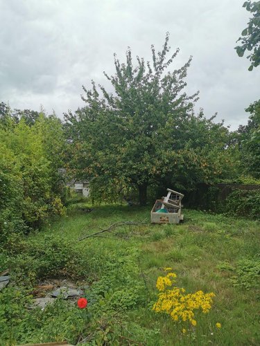 Maison a vendre Loiré 49440 Maine-et-Loire 95 m2 6 pièces 54500 euros