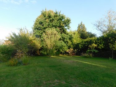 Maison a vendre Montrevel-en-Bresse 01340 Ain 139 m2 5 pièces 235000 euros