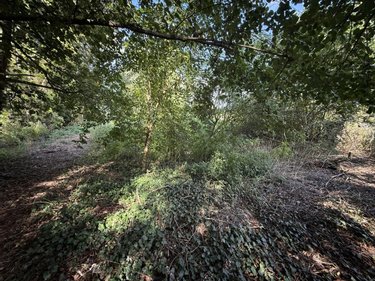 Terrain a batir a vendre Saint-Euphraise-et-Clairizet 51390 Marne 2478 m2  75000 euros