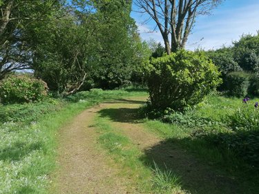 Maison a vendre Plouvorn 29420 Finistère 147 m2 6 pièces 187560 euros