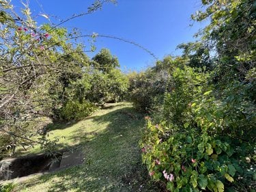 Maison a vendre Le Tampon 97430 Réunion 118 m2 5 pièces 381800 euros