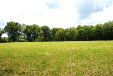 Maison a vendre Plouray 56770 Morbihan 700 m2 19 pièces 1098500 euros