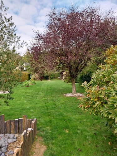 Maison a vendre Camblain-l'Abbé 62690 Pas-de-Calais 110 m2 6 pièces 343000 euros