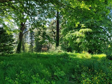 Immeuble a vendre Plounéour-Ménez 29410 Finistère 800 m2  263500 euros