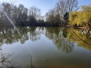 Terrains de loisirs bois etangs a vendre Challans 85300 Vendée 9948 m2  32800 euros