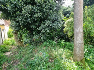 Maison a vendre Burbure 62151 Pas-de-Calais 96 m2 5 pièces 127200 euros