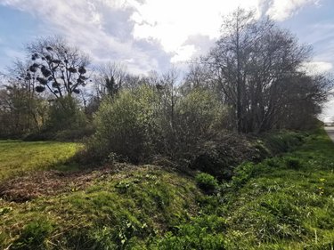 Terrains de loisirs bois etangs a vendre Trégonneau 22200 Côtes-d'Armor 23203 m2  15000 euros