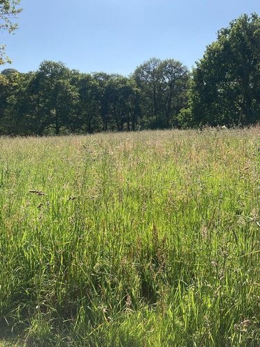Terrain a batir a vendre Le Moustoir 22340 Côtes-d'Armor 2156 m2  22500 euros