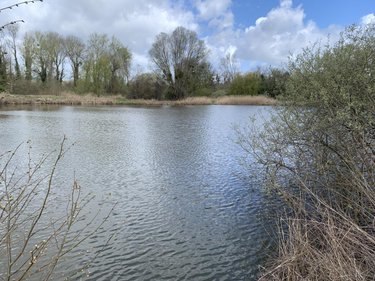 Terrains de loisirs bois etangs a vendre Breuil sur Vesle 51140 Marne 18367 m2  117000 euros