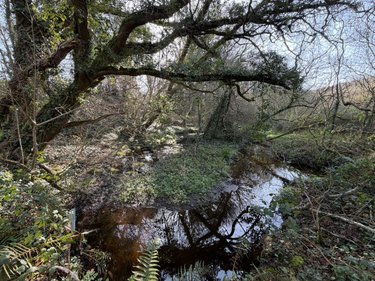 Terrains de loisirs bois etangs a vendre Pleyber-Christ 29410 Finistère 37739 m2  18000 euros