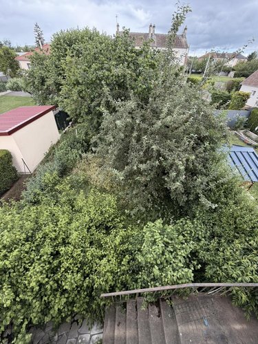 Maison a vendre Amiens 80000 Somme 66 m2 4 pièces 141750 euros