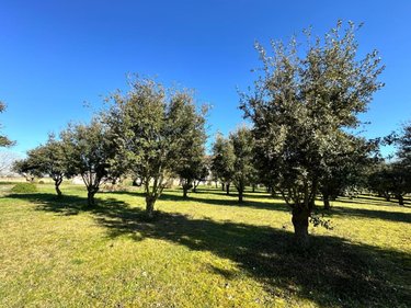 Maison a vendre Noyant-de-Touraine 37800 Indre-et-Loire 120 m2 7 pièces 501300 euros