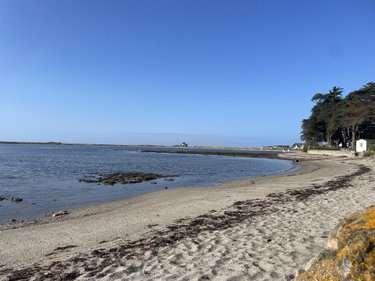 Terrain a batir a vendre Sarzeau 56370 Morbihan 626 m2  239000 euros