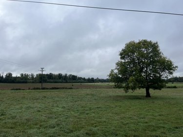 Terrain a batir a vendre Villette-lès-Dole 39100 Jura 2111 m2  55000 euros