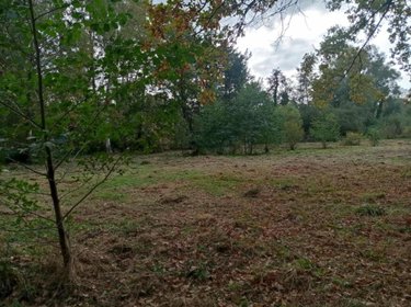 Terrains de loisirs bois etangs a vendre Glisy 80440 Somme 15055 m2  130000 euros