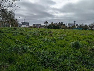 Terrain a batir a vendre Plouha 22580 Côtes-d'Armor 1707 m2  241500 euros