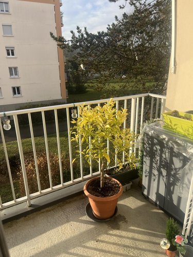 Appartement a vendre Dole 39100 Jura 61 m2  122000 euros
