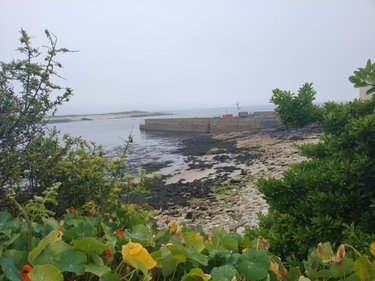 Maison a vendre Île-Molène 29259 Finistère 79 m2 4 pièces 364700 euros