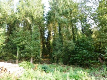 Terrains de loisirs bois etangs a vendre Melrand 56310 Morbihan 13280 m2  21320 euros
