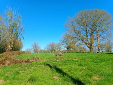 Maison a vendre Blandouet-Saint Jean 53270 Mayenne 76 m2 5 pièces 94860 euros