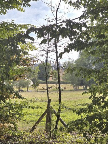 Maison a vendre Nançay 18330 Cher 113 m2 4 pièces 214840 euros