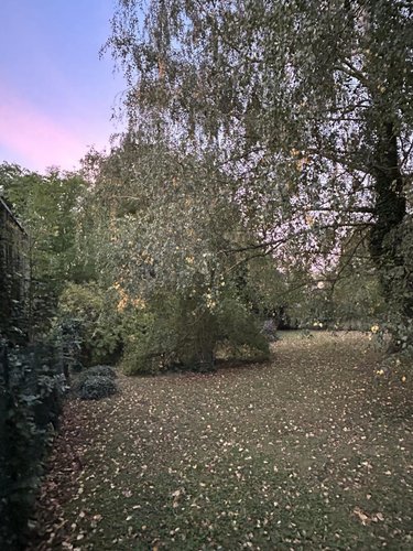 Terrain a batir a vendre Gueux 51390 Marne 1113 m2  295000 euros