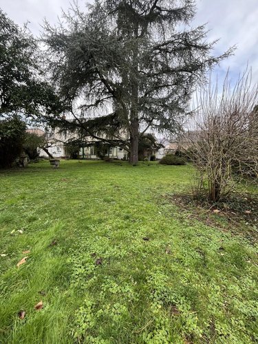 Maison a vendre Chinon 37500 Indre-et-Loire 135 m2  262500 euros