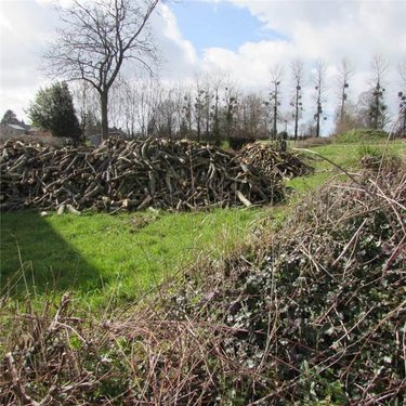 Terrains de loisirs bois etangs a vendre Chérencé-le-Héron 50800 Manche 434 m2  6800 euros
