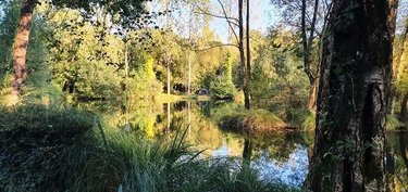 Terrains de loisirs bois etangs a vendre Le Croisty 56540 Morbihan 15350 m2  74400 euros