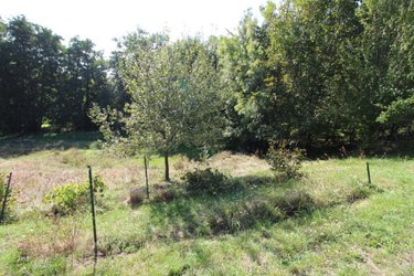 Maison a vendre La Chapelle-des-Pots 17100 Charente-Maritime 183 m2 7 pièces 241316 euros