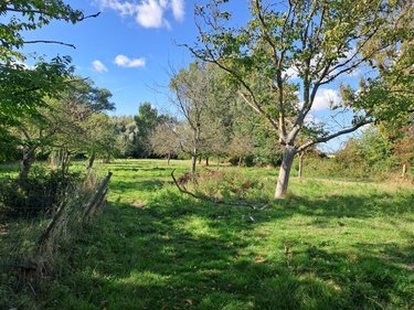 Maison a vendre Zutkerque 62370 Pas-de-Calais 172 m2 9 pièces 312300 euros